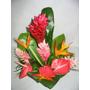 Fleurs exotiques