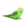 Oiseau