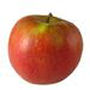 Fruit and Vegetables