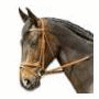 Cheval
