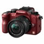 Panasonic G1
