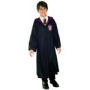 D�guisement Harry Potter