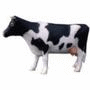 Animaux � Sites informatifs