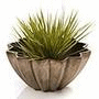 D�coration & am�nagement de jardin