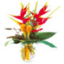 Fleurs exotiques