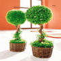 Maison et jardin � Sites informatifs