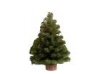 Christmas Trees