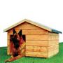 Niche pour chien