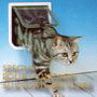 Produits pour chat